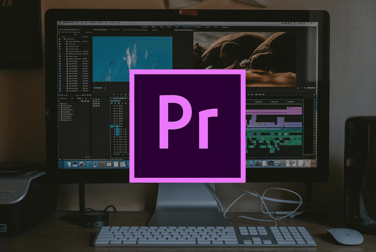 540302_ef57a2d21540473aae72b2ce5297ee0f~mv2